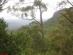 kanga Valley mtb 014